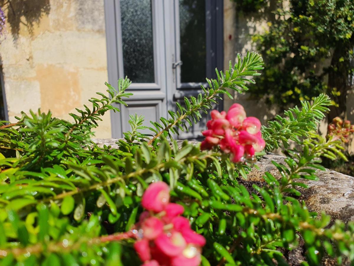 בליי Le Clos Reaud מראה חיצוני תמונה